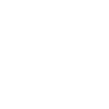 Renault Occasion